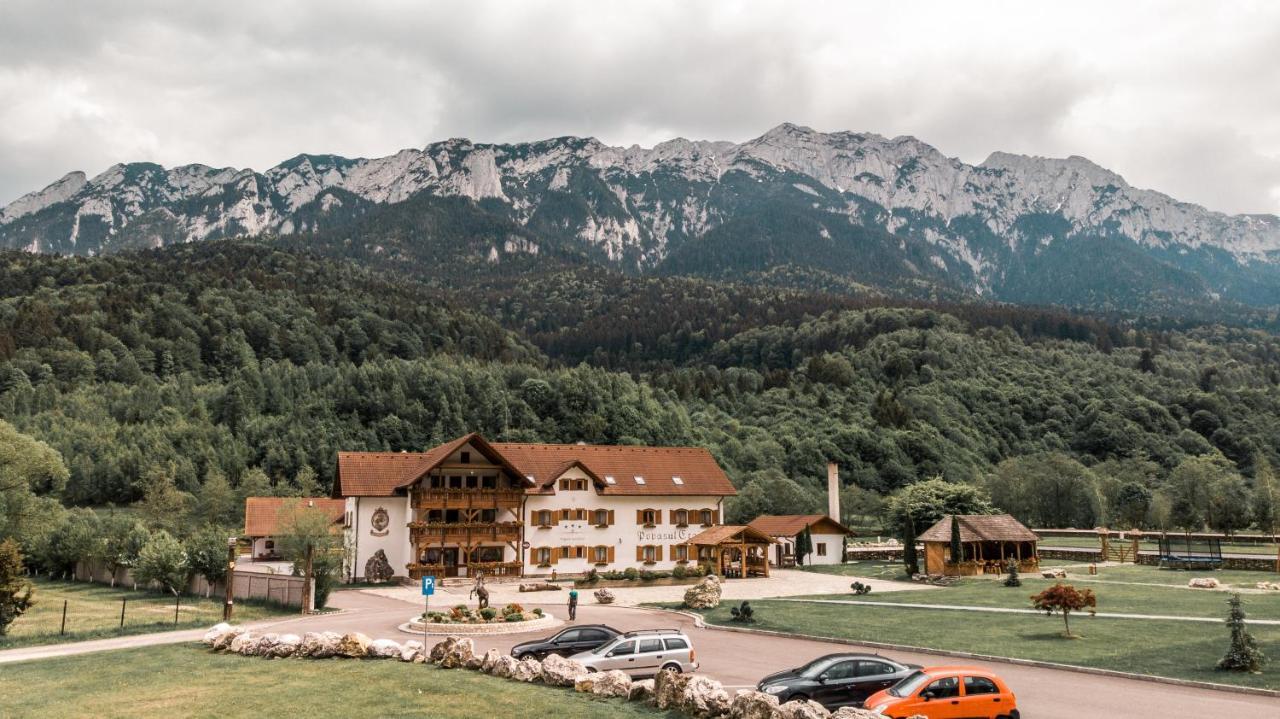 Vila Popasul Craiului Zărneşti Exteriér fotografie