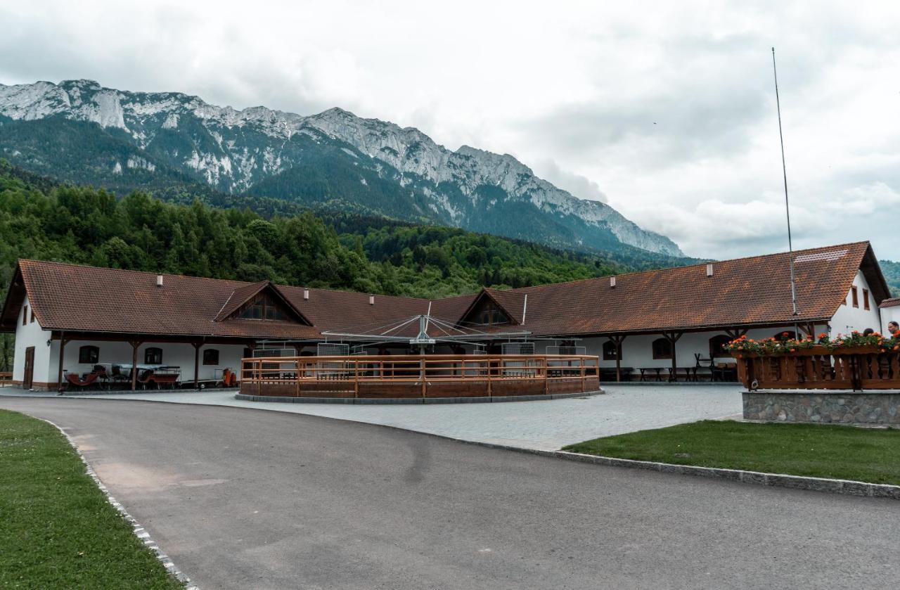 Vila Popasul Craiului Zărneşti Exteriér fotografie