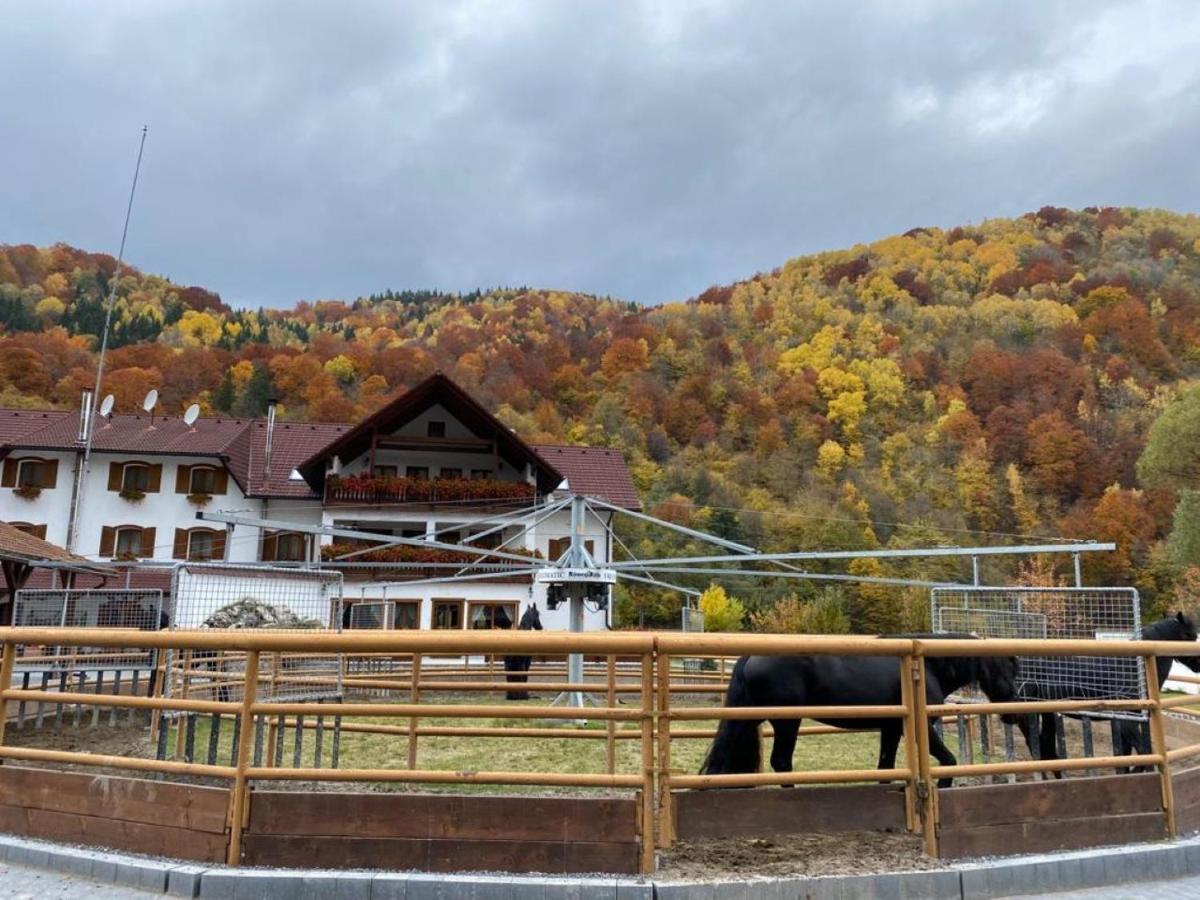 Vila Popasul Craiului Zărneşti Exteriér fotografie