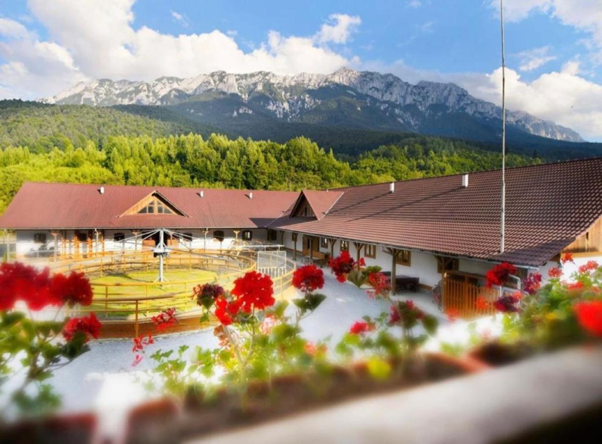 Vila Popasul Craiului Zărneşti Exteriér fotografie