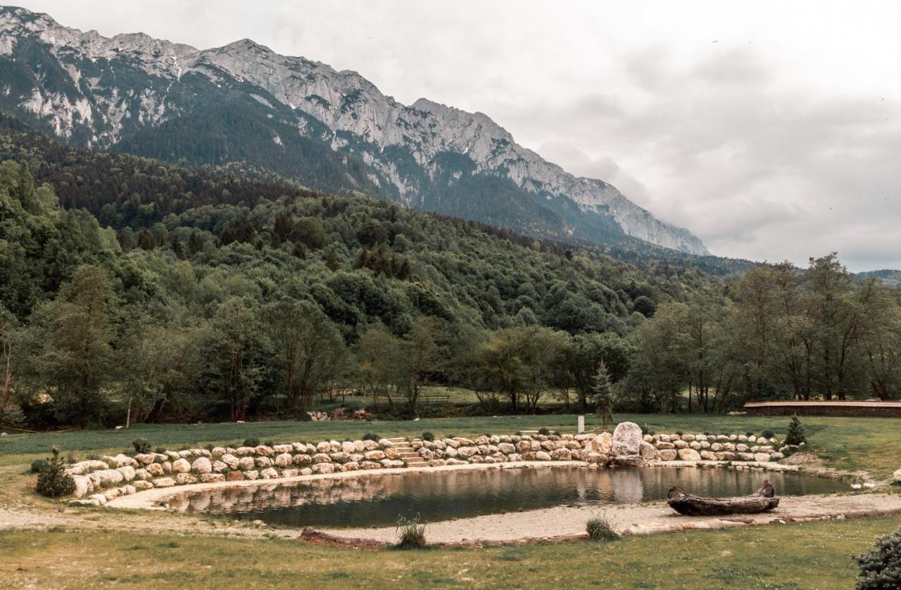 Vila Popasul Craiului Zărneşti Exteriér fotografie