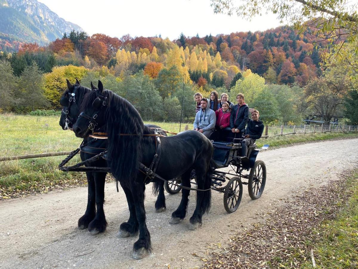 Vila Popasul Craiului Zărneşti Exteriér fotografie
