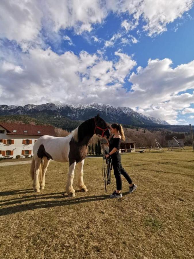 Vila Popasul Craiului Zărneşti Exteriér fotografie
